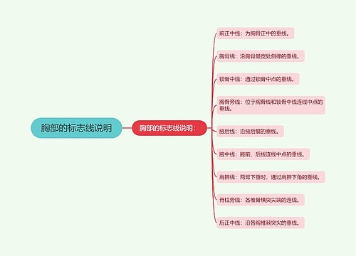 胸部的标志线说明