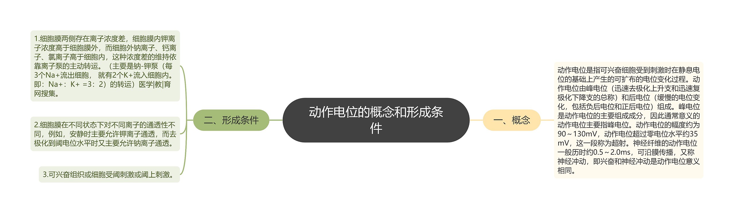 动作电位的概念和形成条件 动作电位的概念和形成条件
