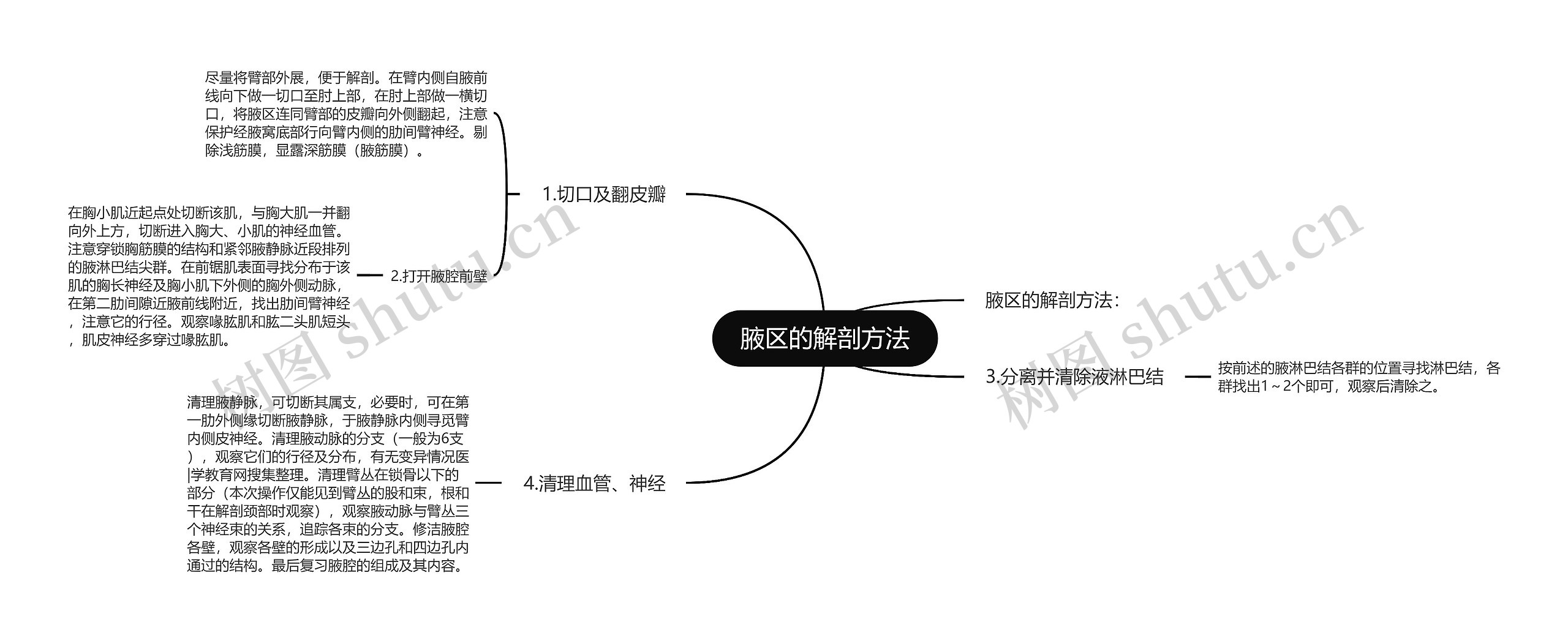 腋区的解剖方法