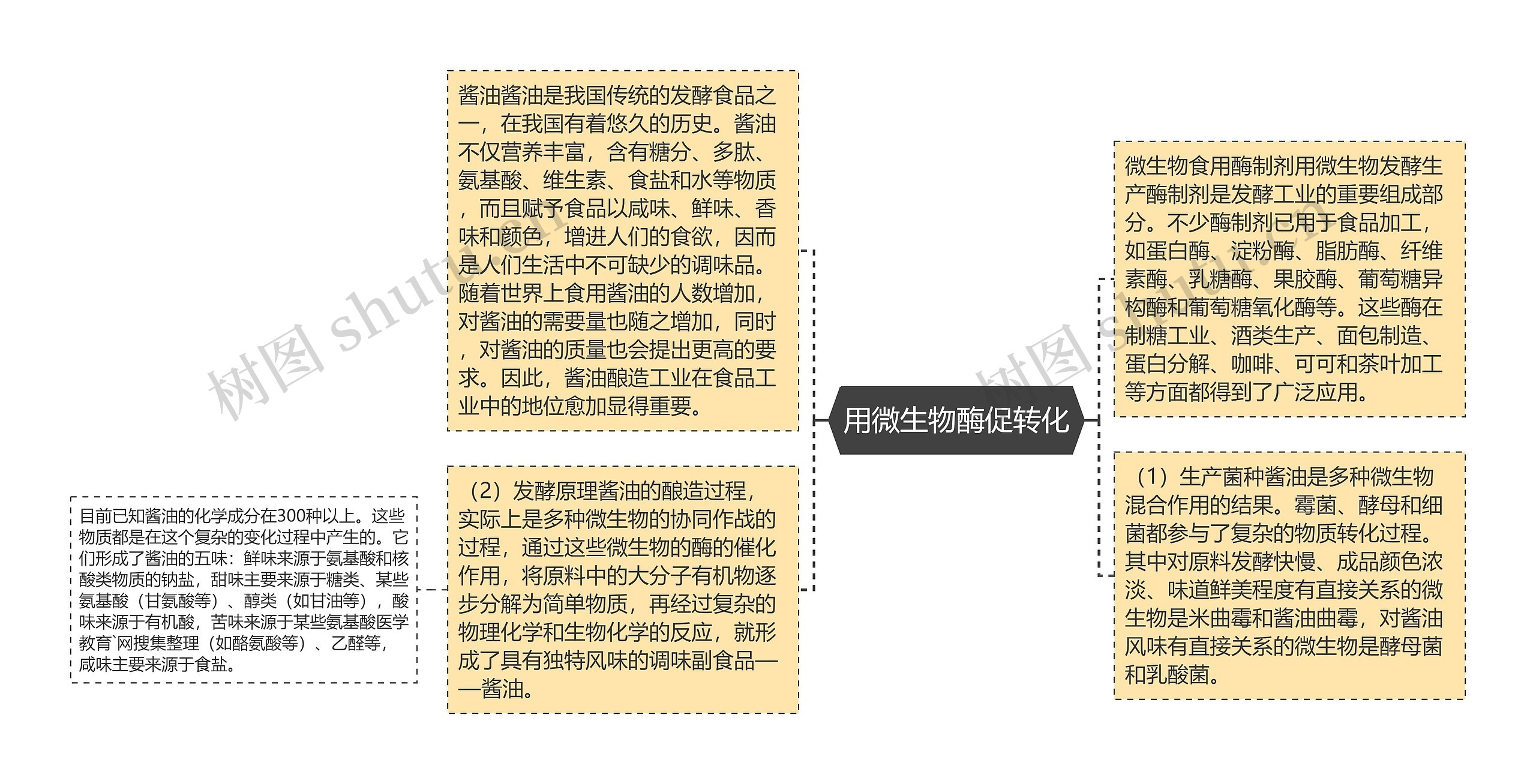 用微生物酶促转化思维导图