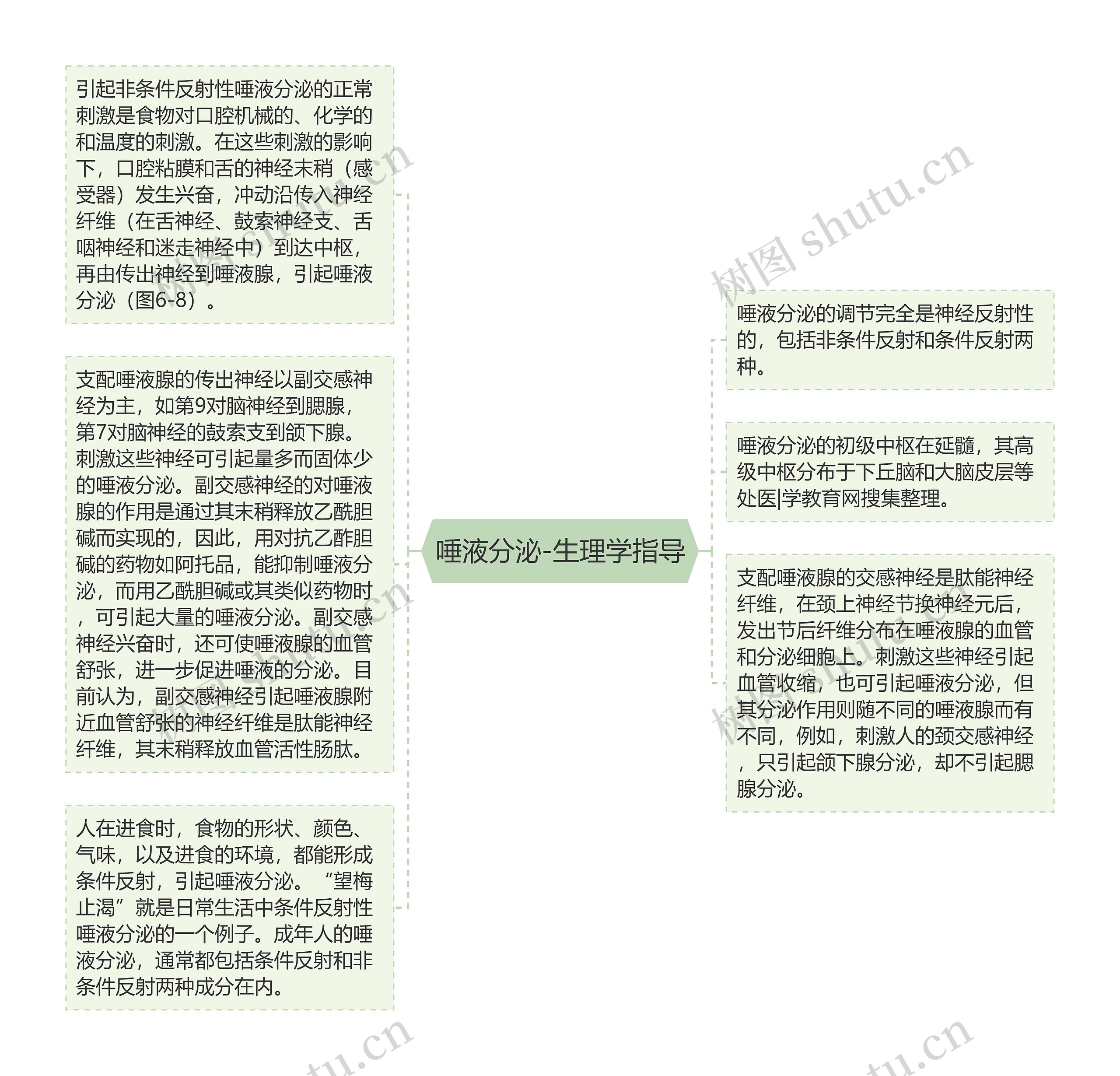 唾液分泌-生理学指导