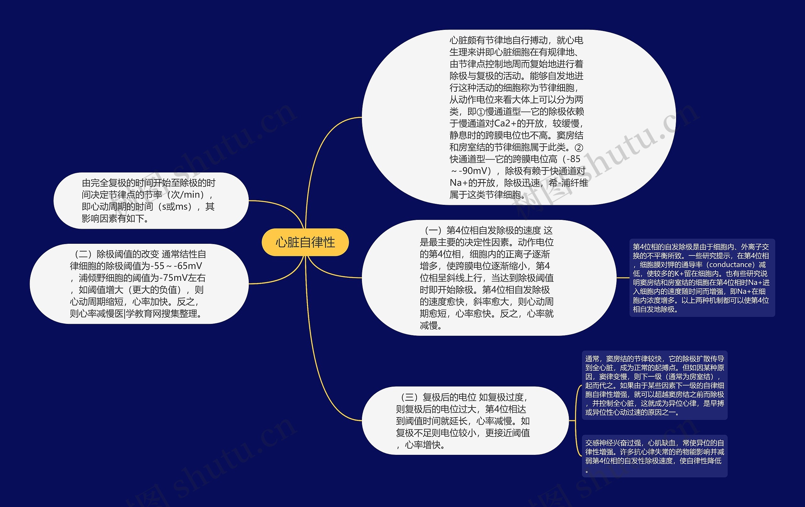 心脏自律性思维导图