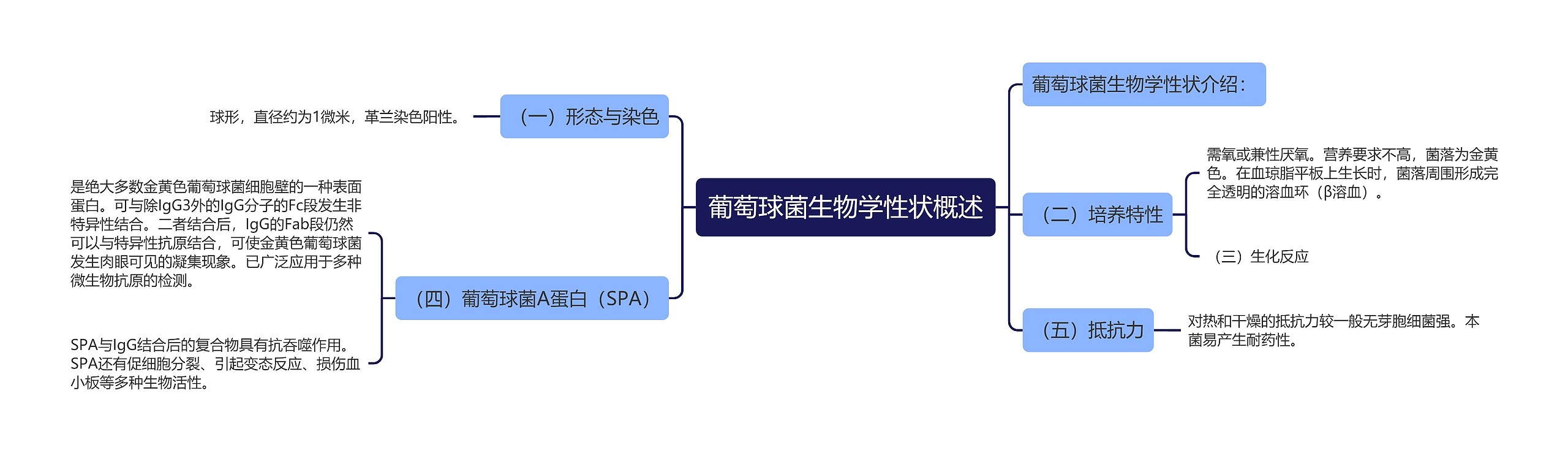 葡萄球菌生物学性状概述思维导图