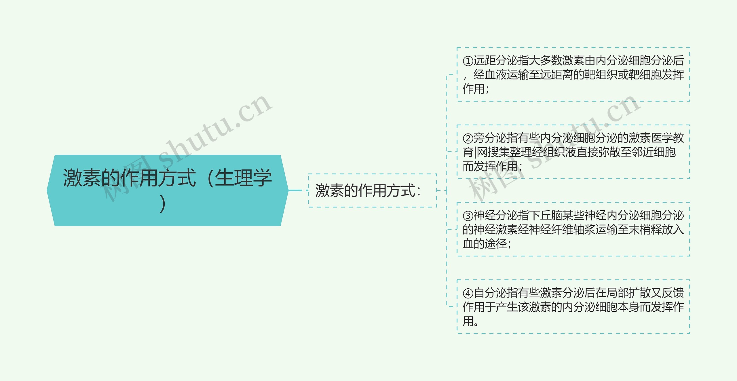 激素的作用方式（生理学）