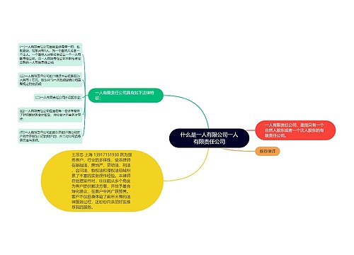 什么是一人有限公司一人有限责任公司