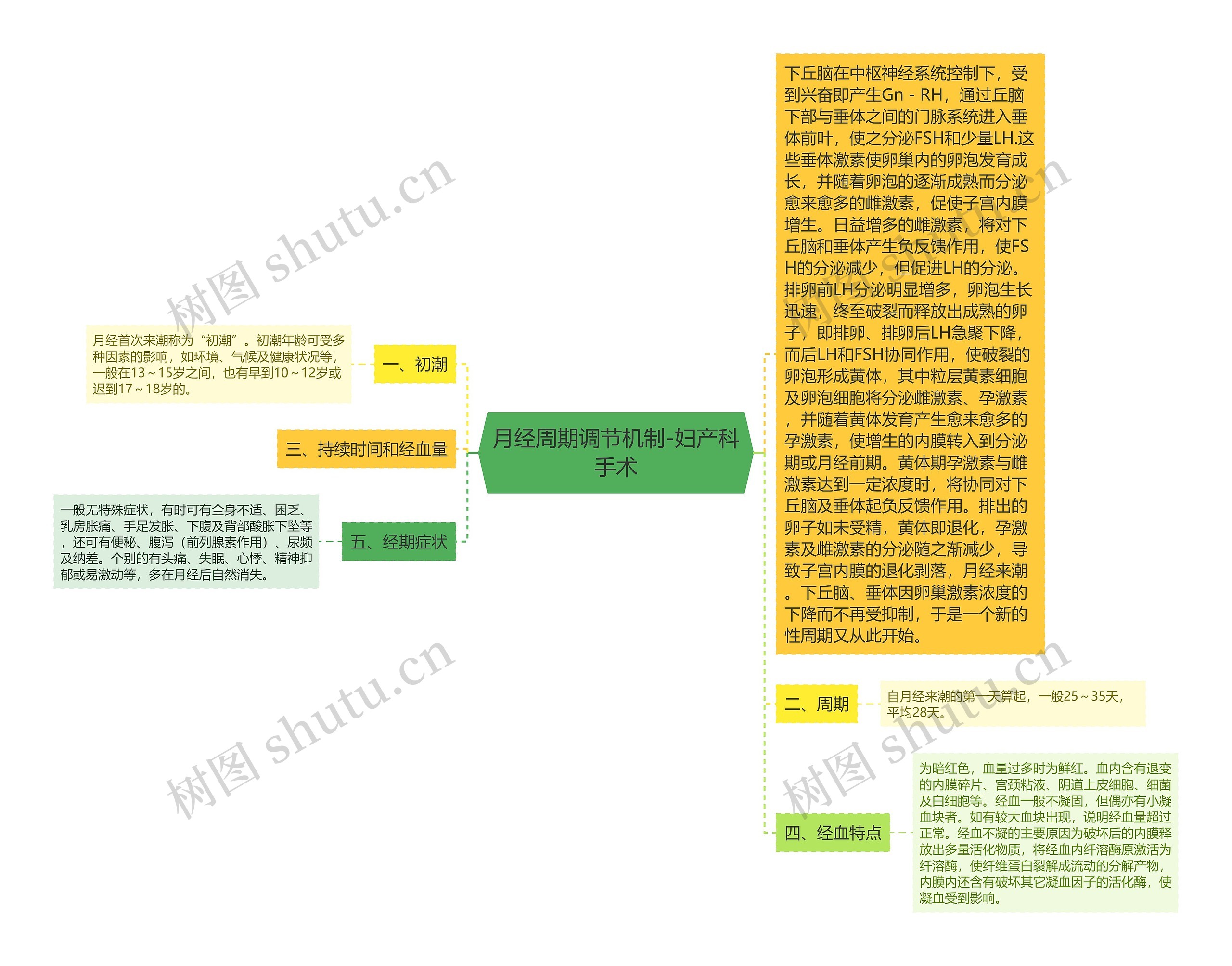 月经周期调节机制-妇产科手术思维导图