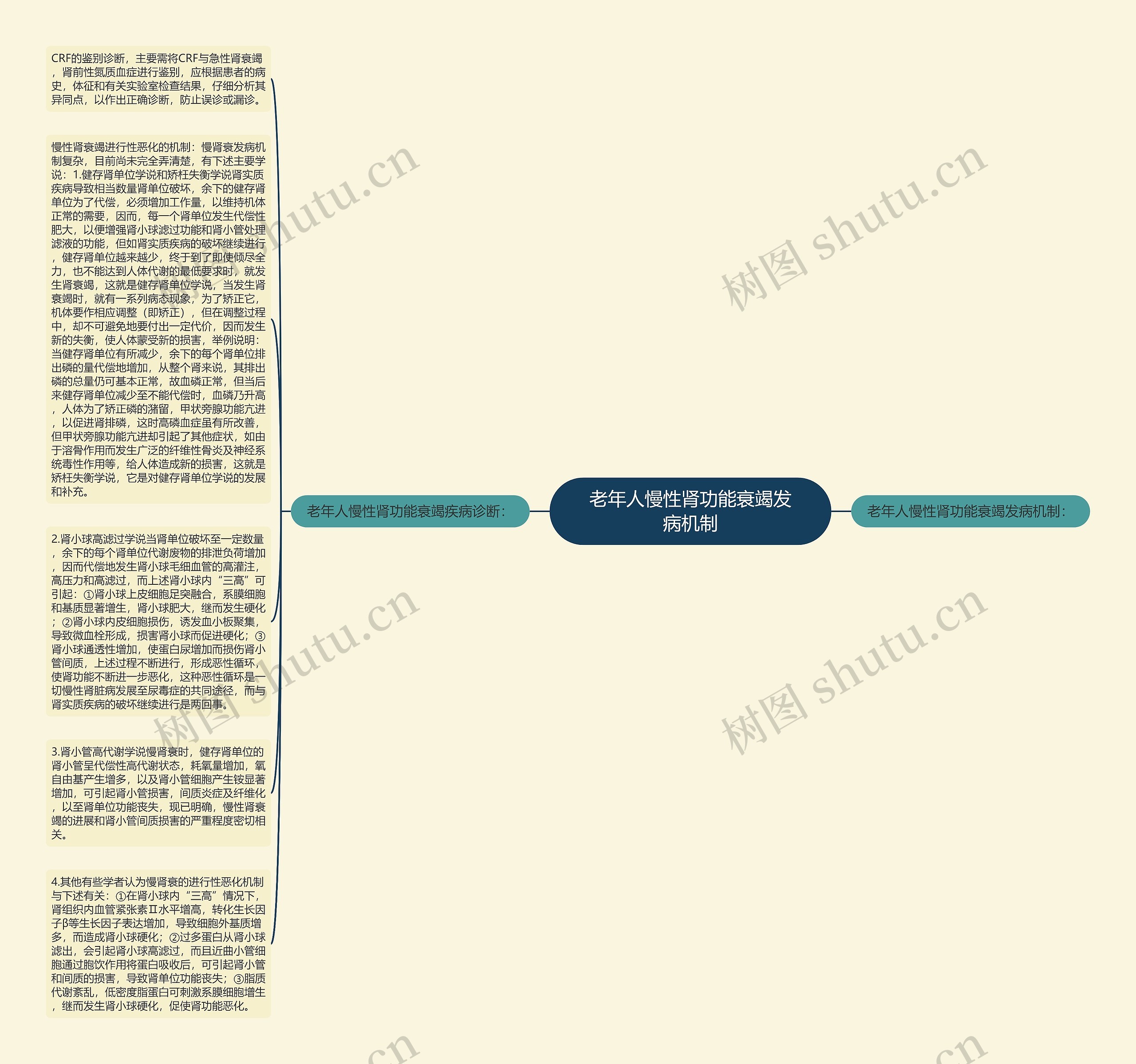 老年人慢性肾功能衰竭发病机制思维导图