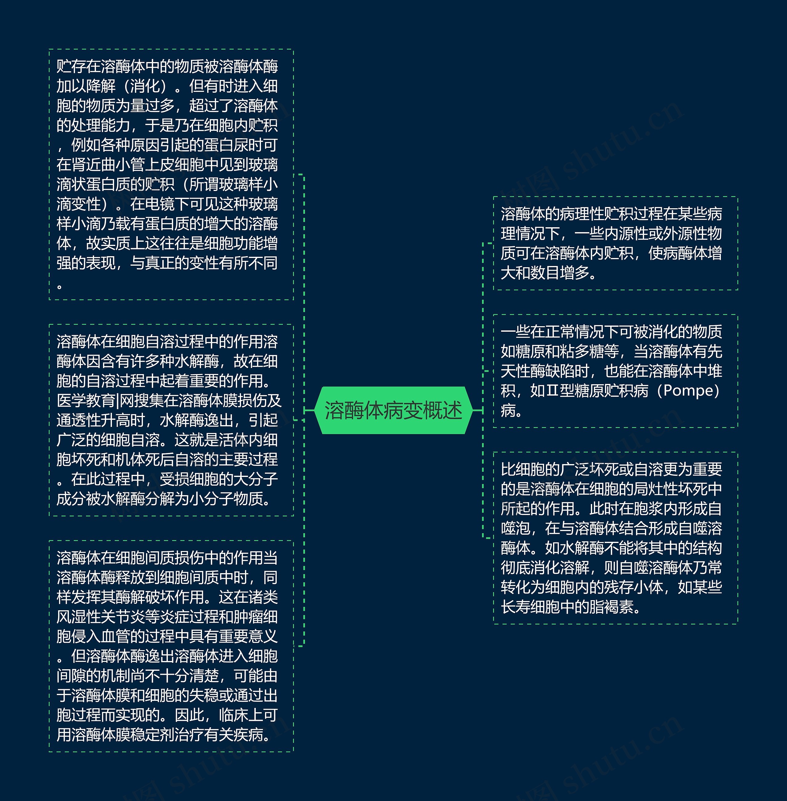 溶酶体病变概述