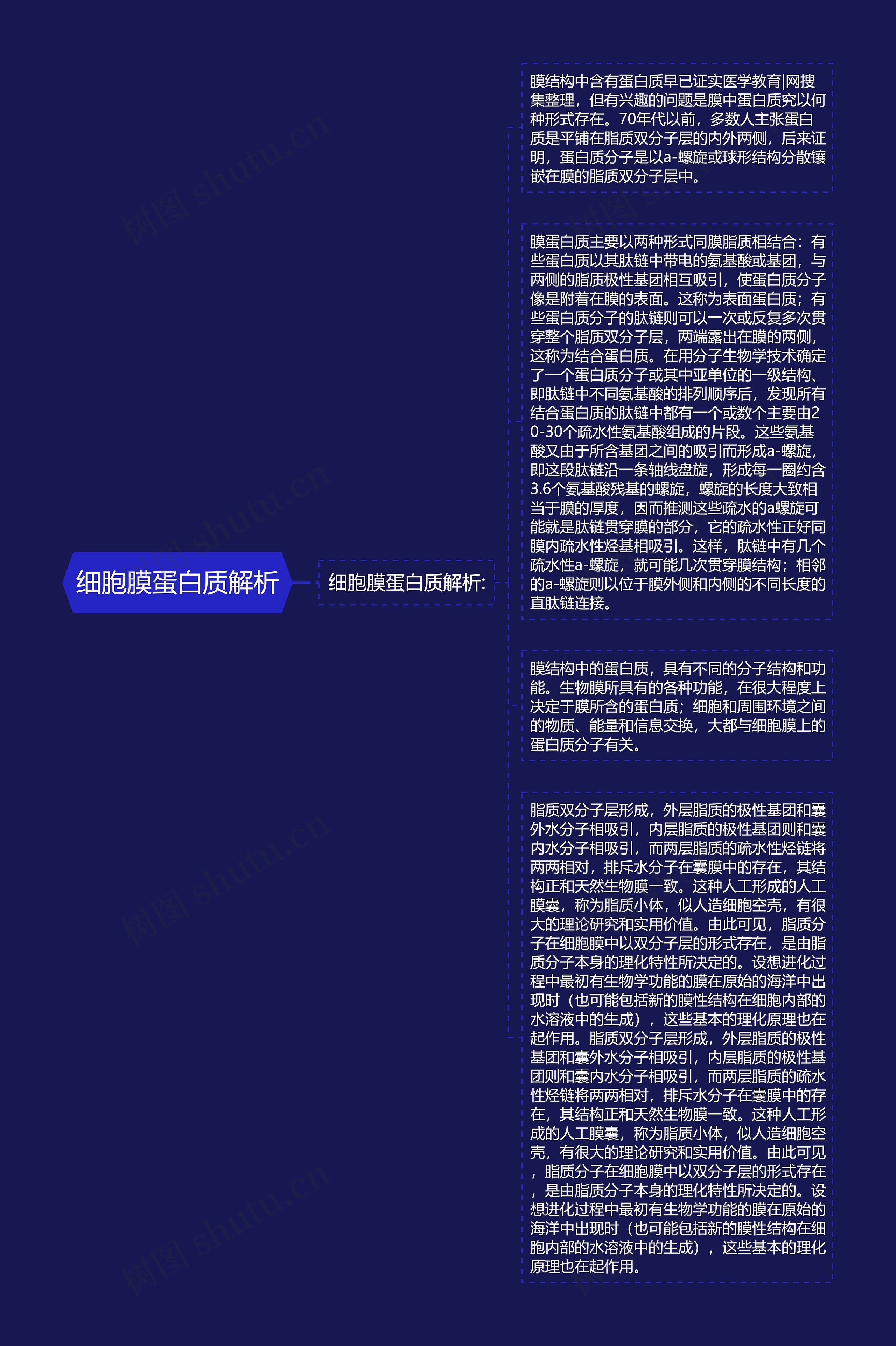 细胞膜蛋白质解析思维导图