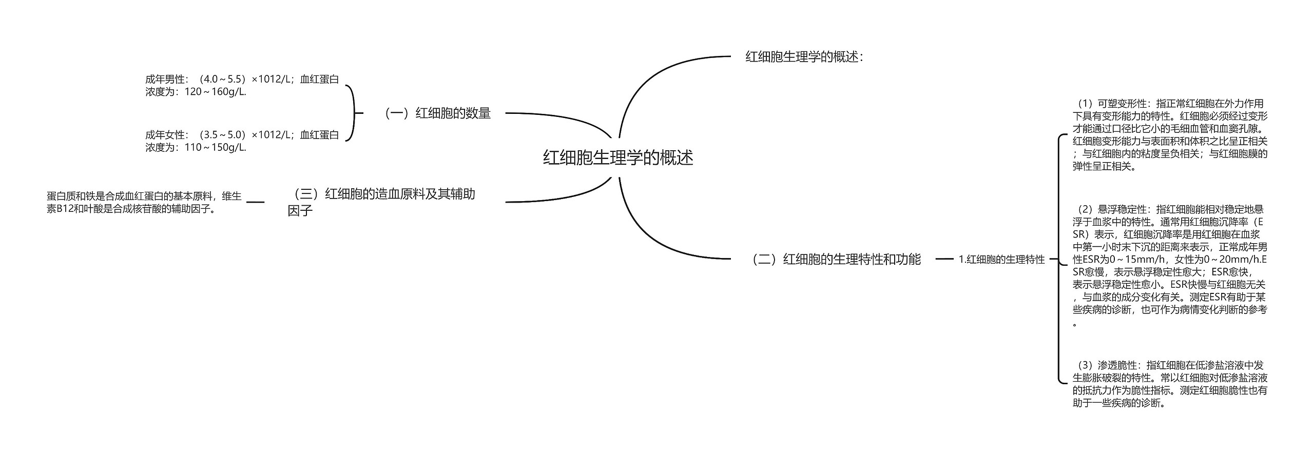 红细胞生理学的概述思维导图