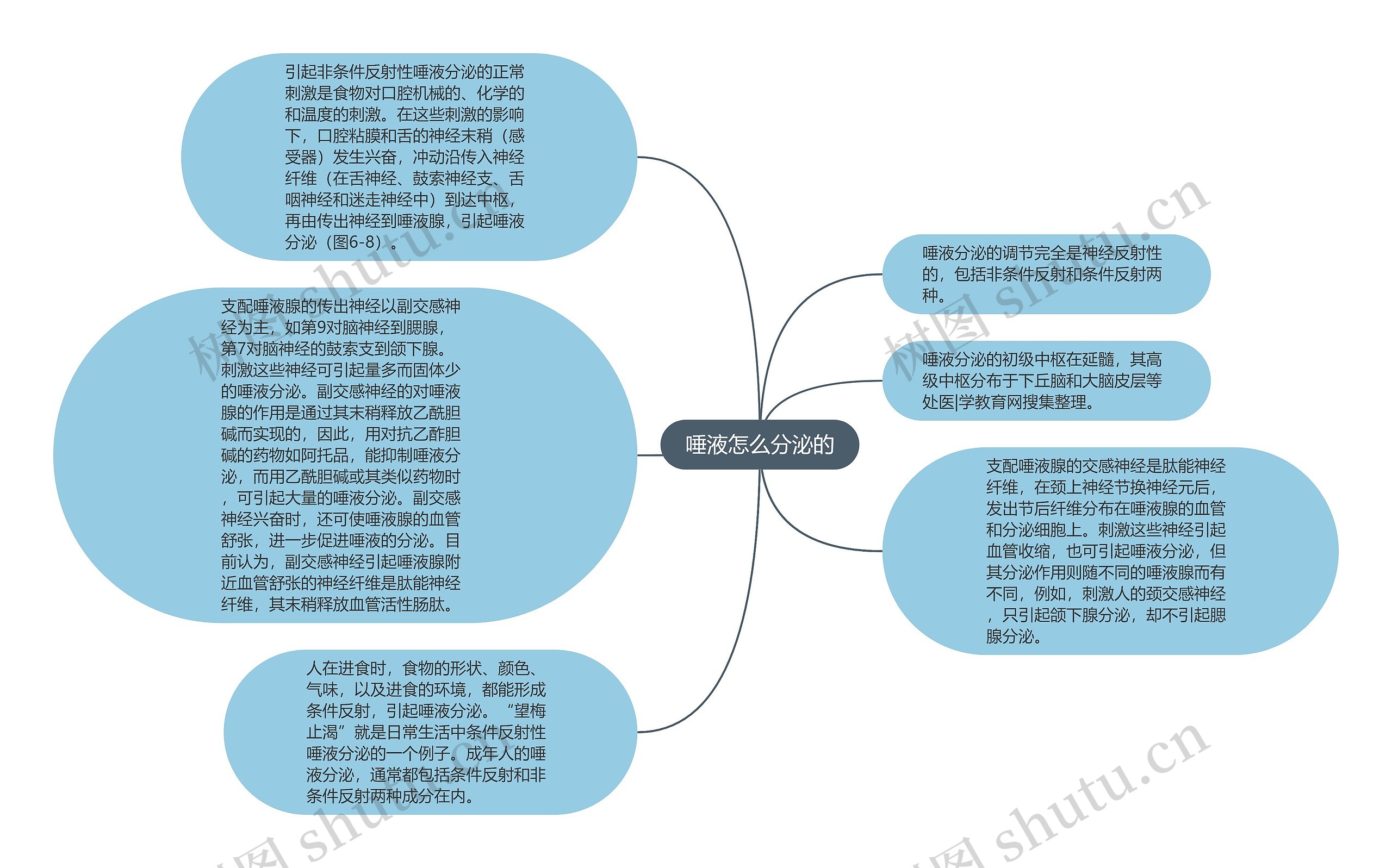 唾液怎么分泌的思维导图