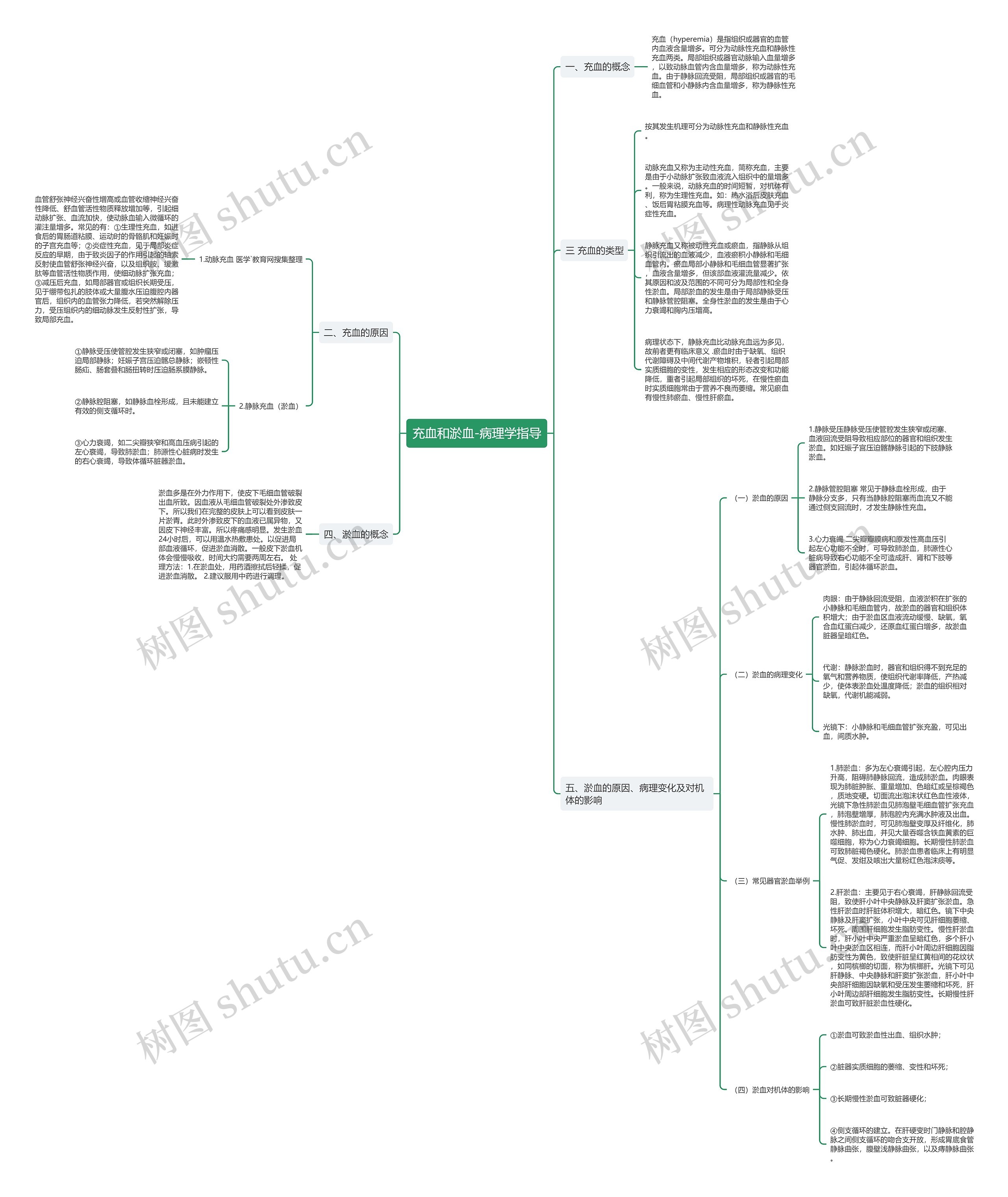 充血和淤血-病理学指导 充血和淤血-病理学指导