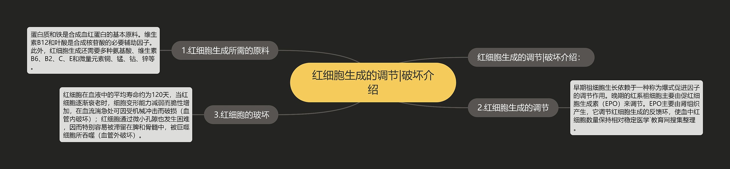 红细胞生成的调节|破坏介绍 红细胞生成的调节|破坏介绍