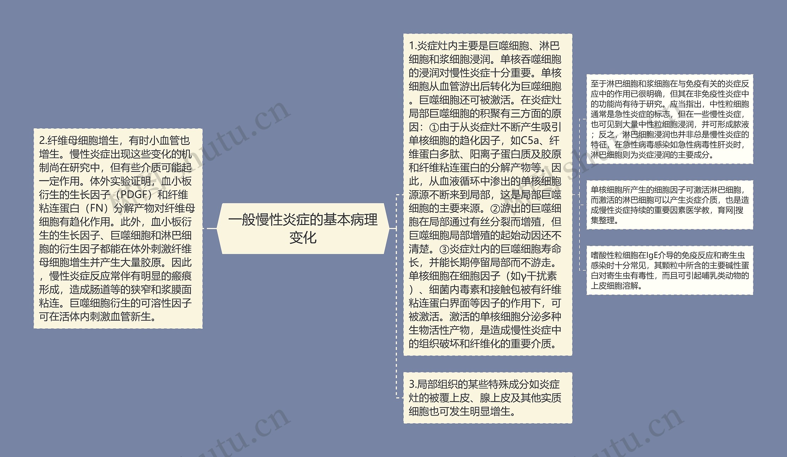 一般慢性炎症的基本病理变化思维导图