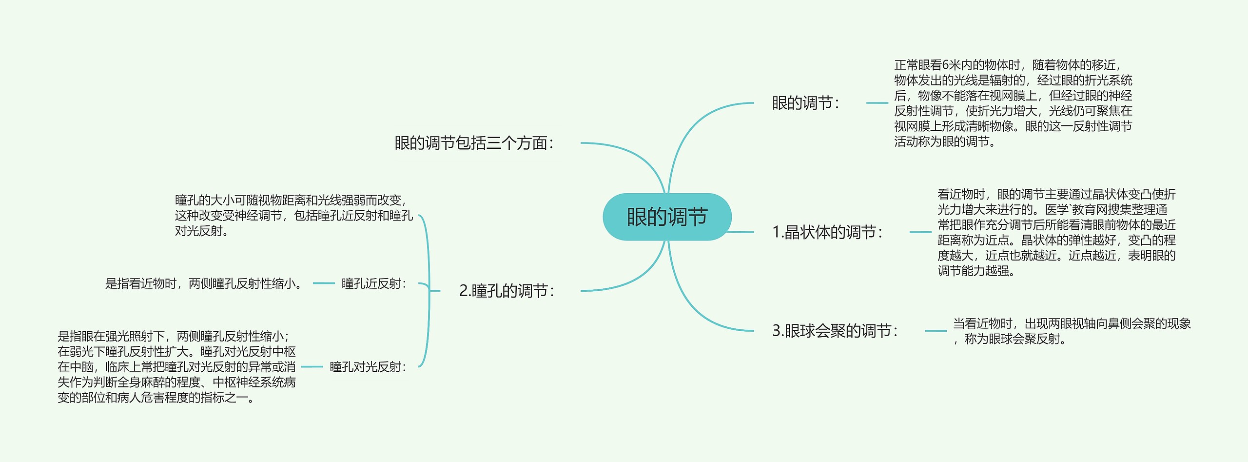 眼的调节思维导图