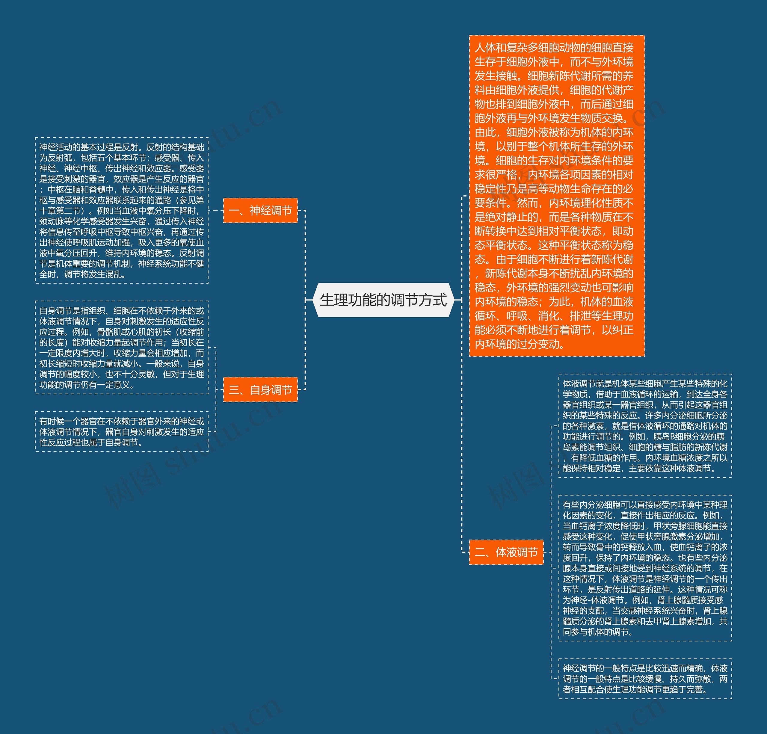 生理功能的调节方式