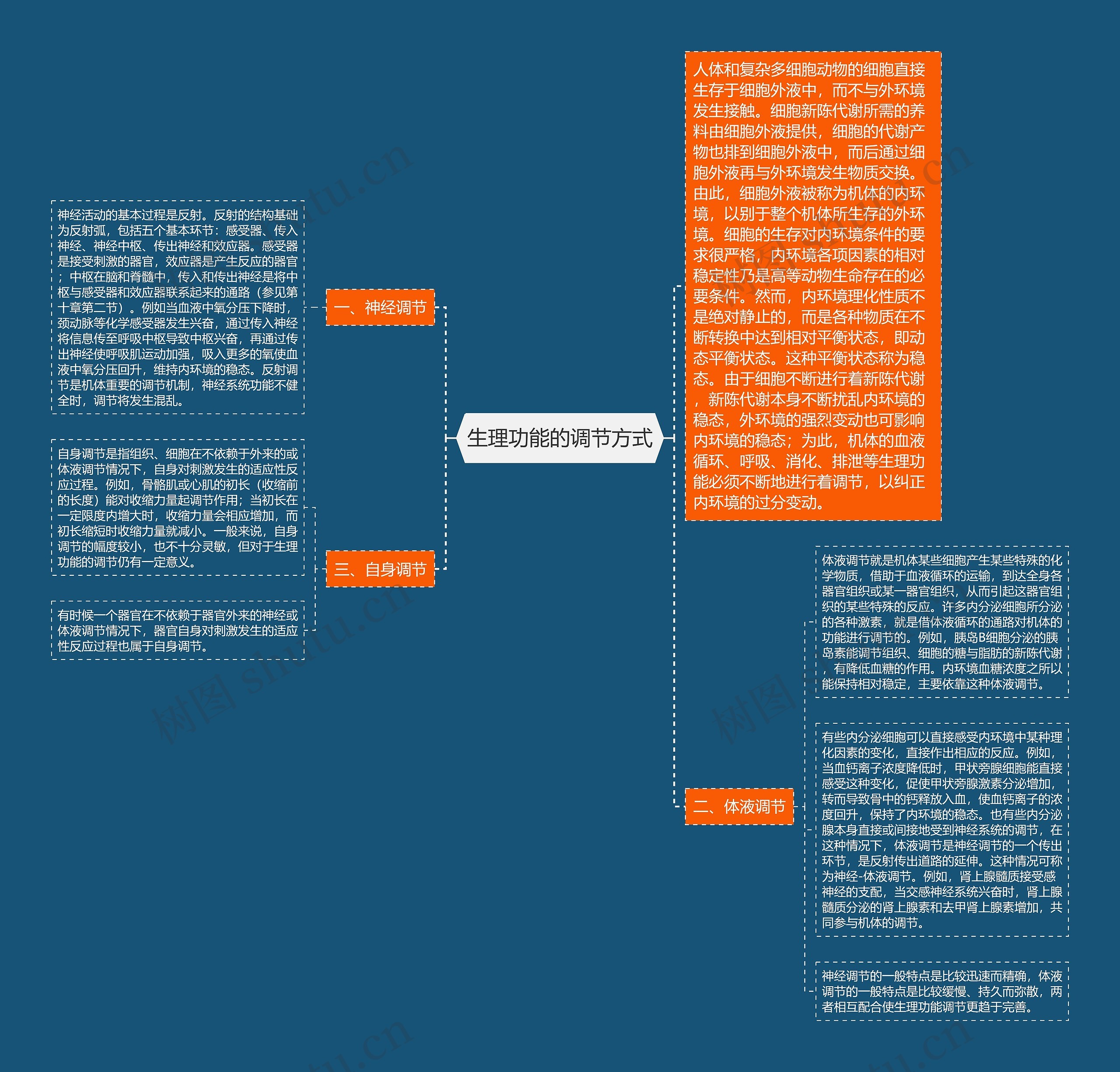 生理功能的调节方式 生理功能的调节方式