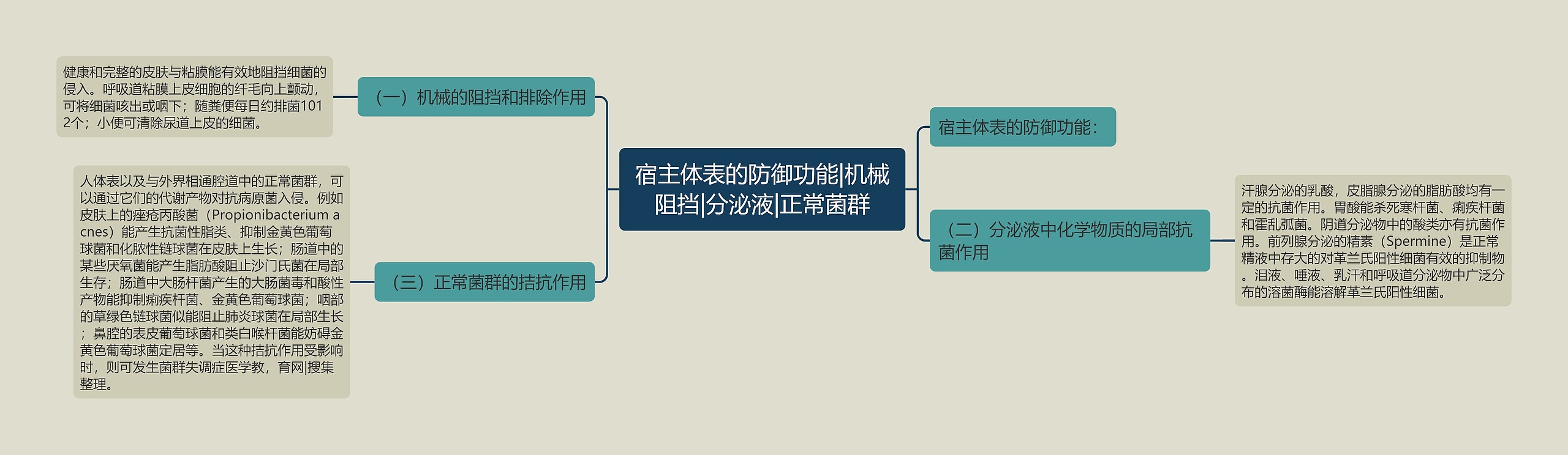 宿主体表的防御功能|机械阻挡|分泌液|正常菌群思维导图