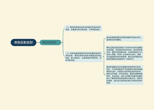 牵张反射类型