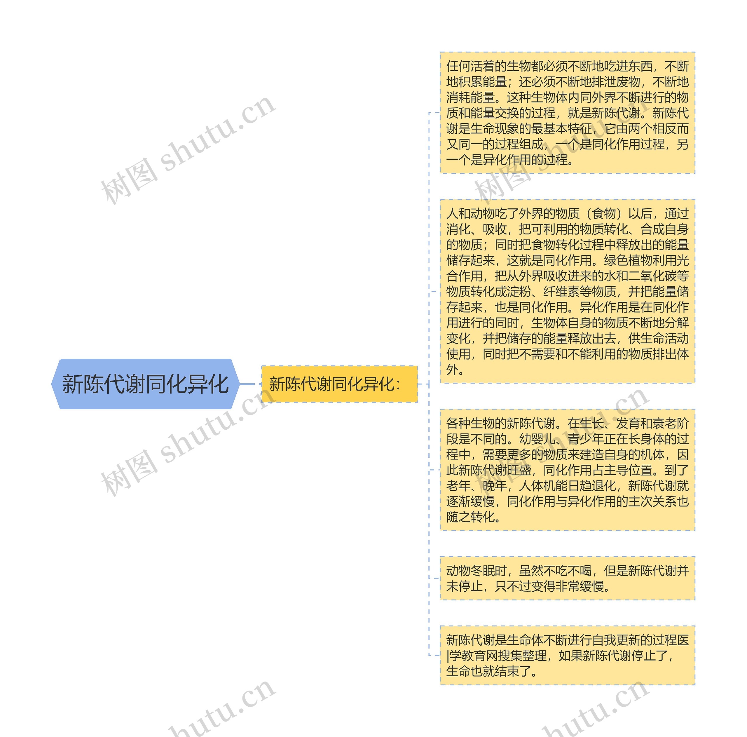 新陈代谢同化异化