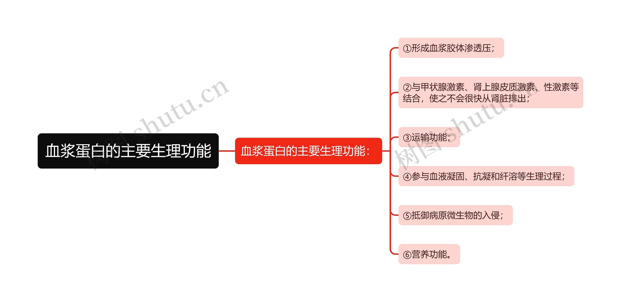 血浆蛋白的主要生理功能