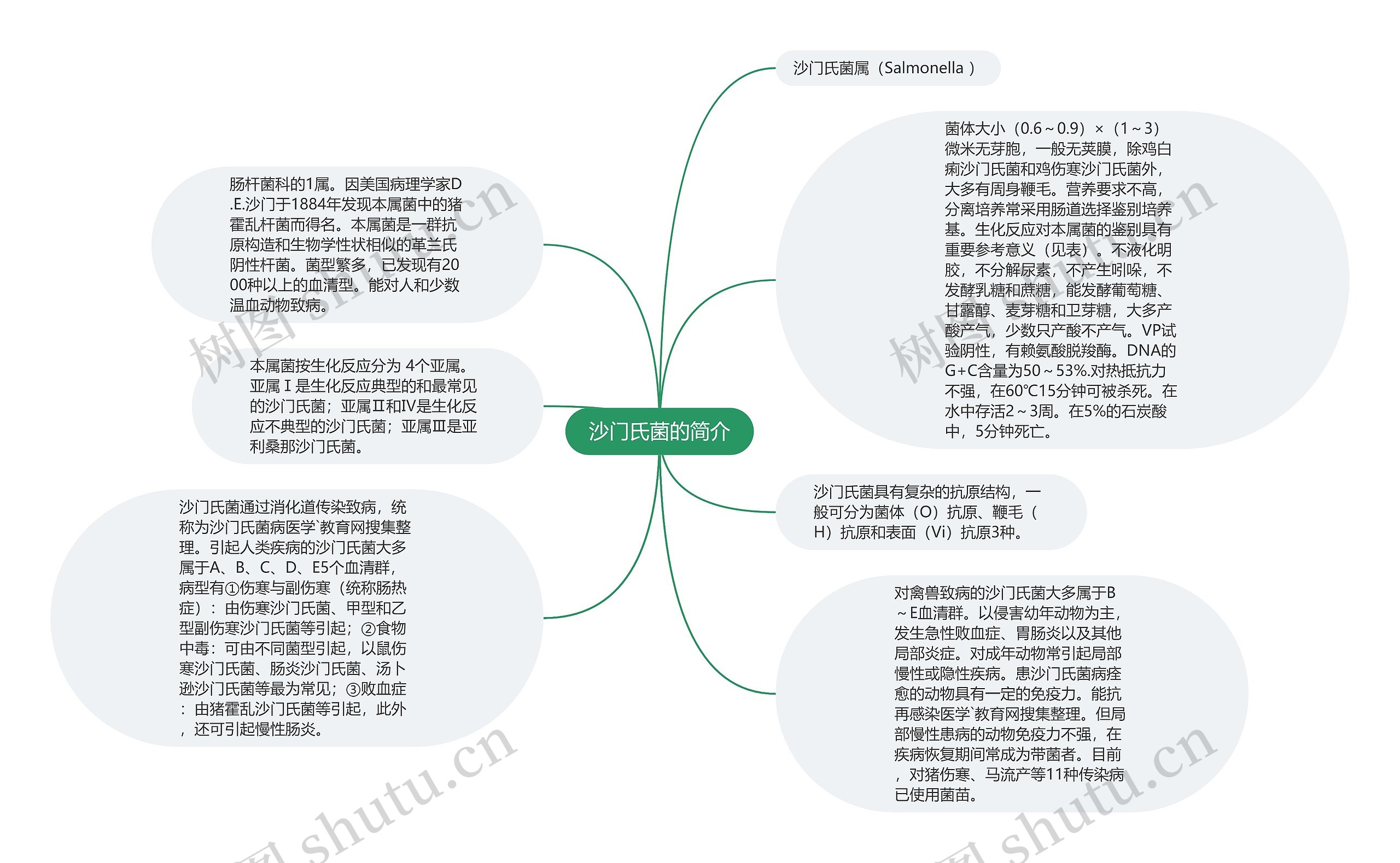 沙门氏菌的简介思维导图