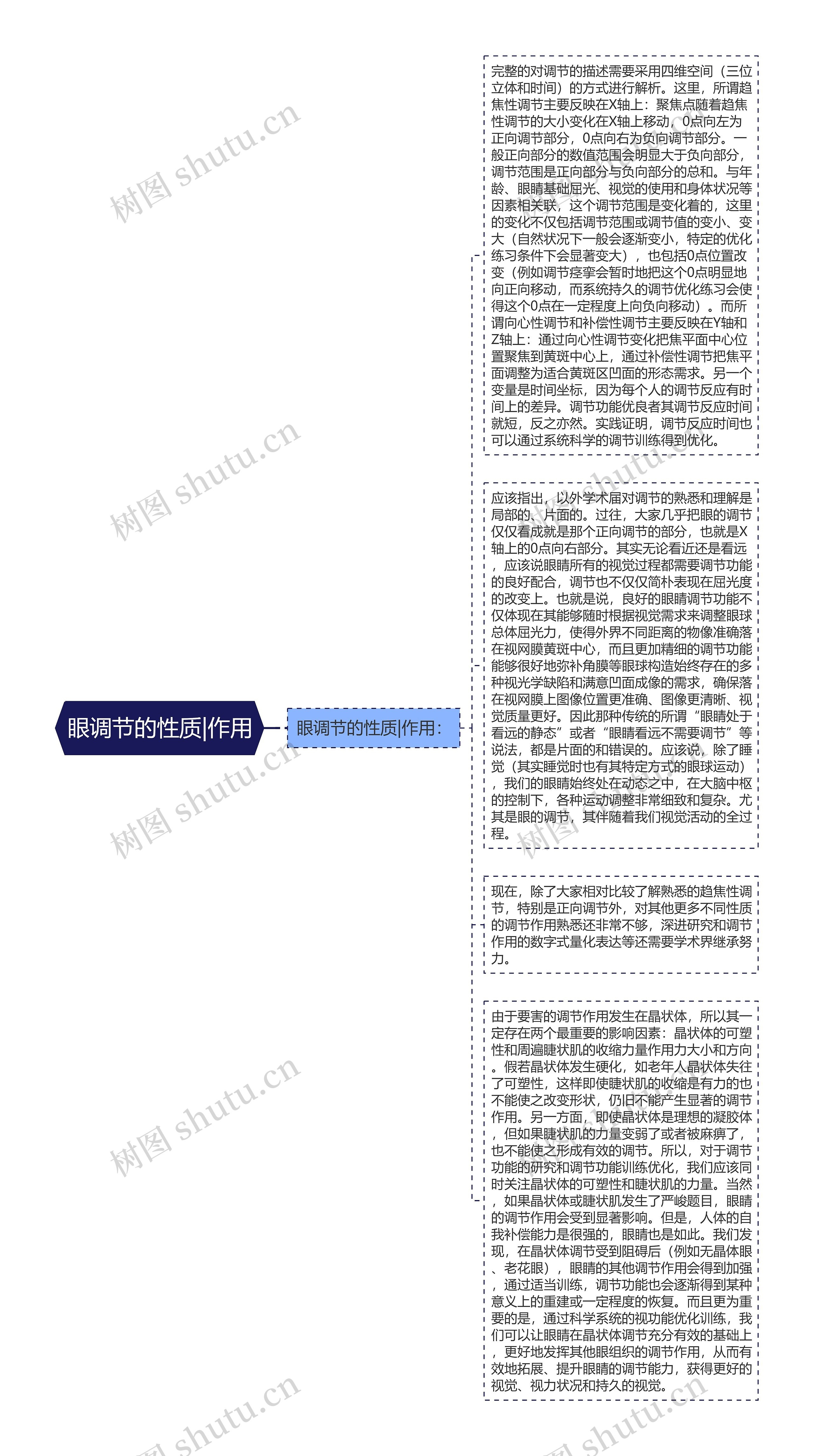 眼调节的性质|作用思维导图