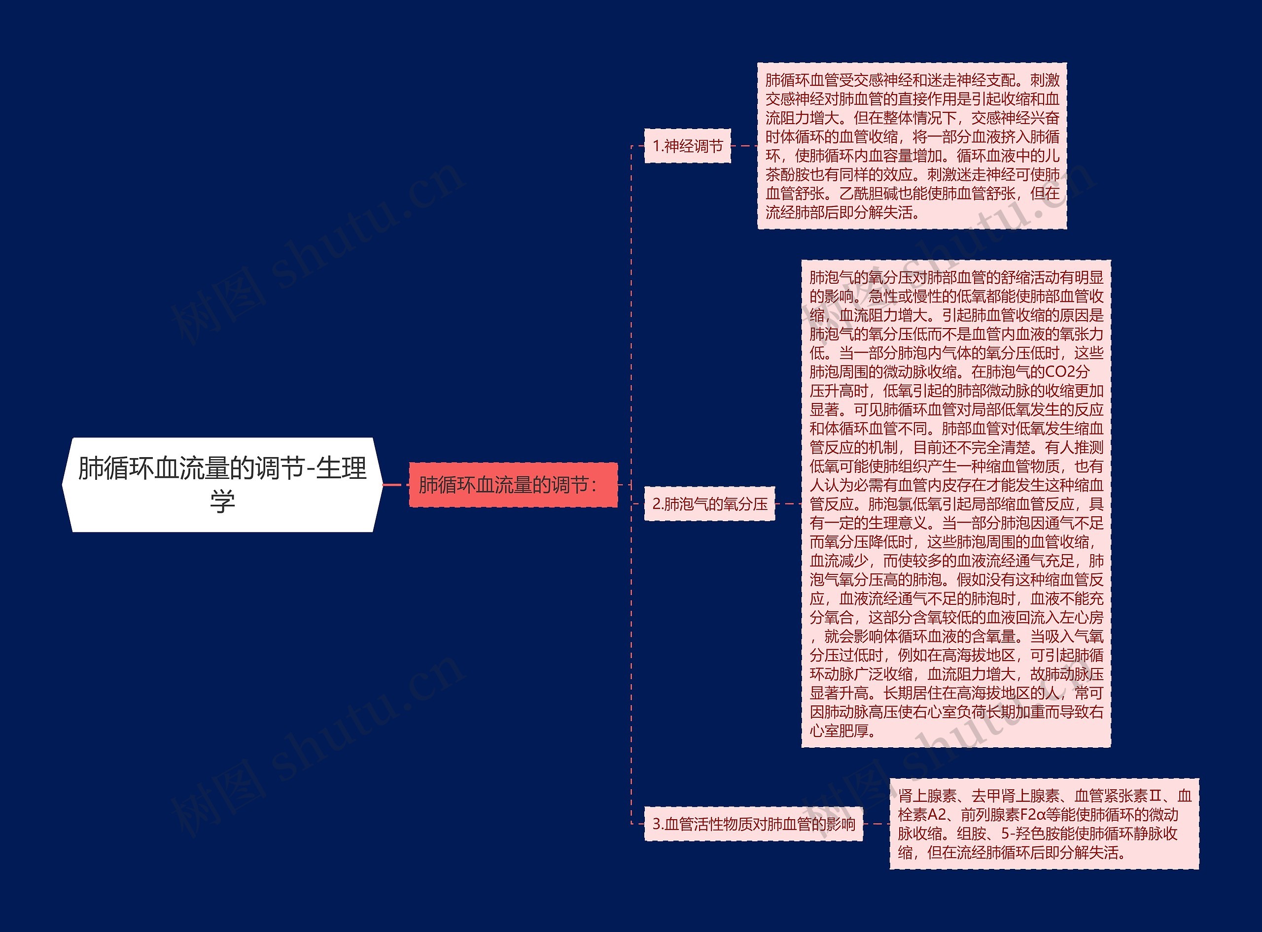 肺循环血流量的调节-生理学思维导图