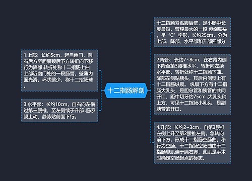 十二指肠解剖