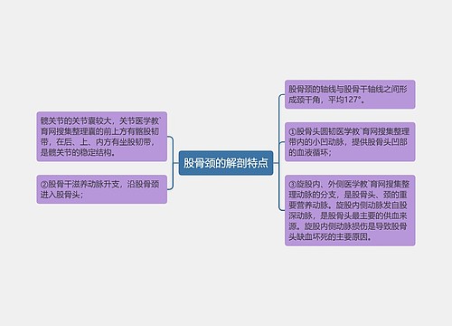 股骨颈的解剖特点