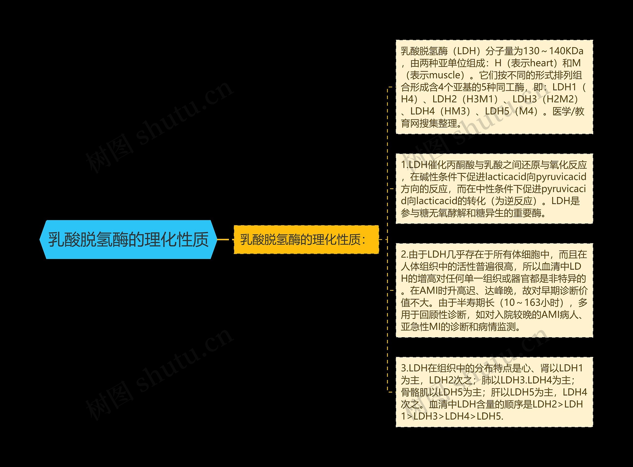 乳酸脱氢酶的理化性质思维导图