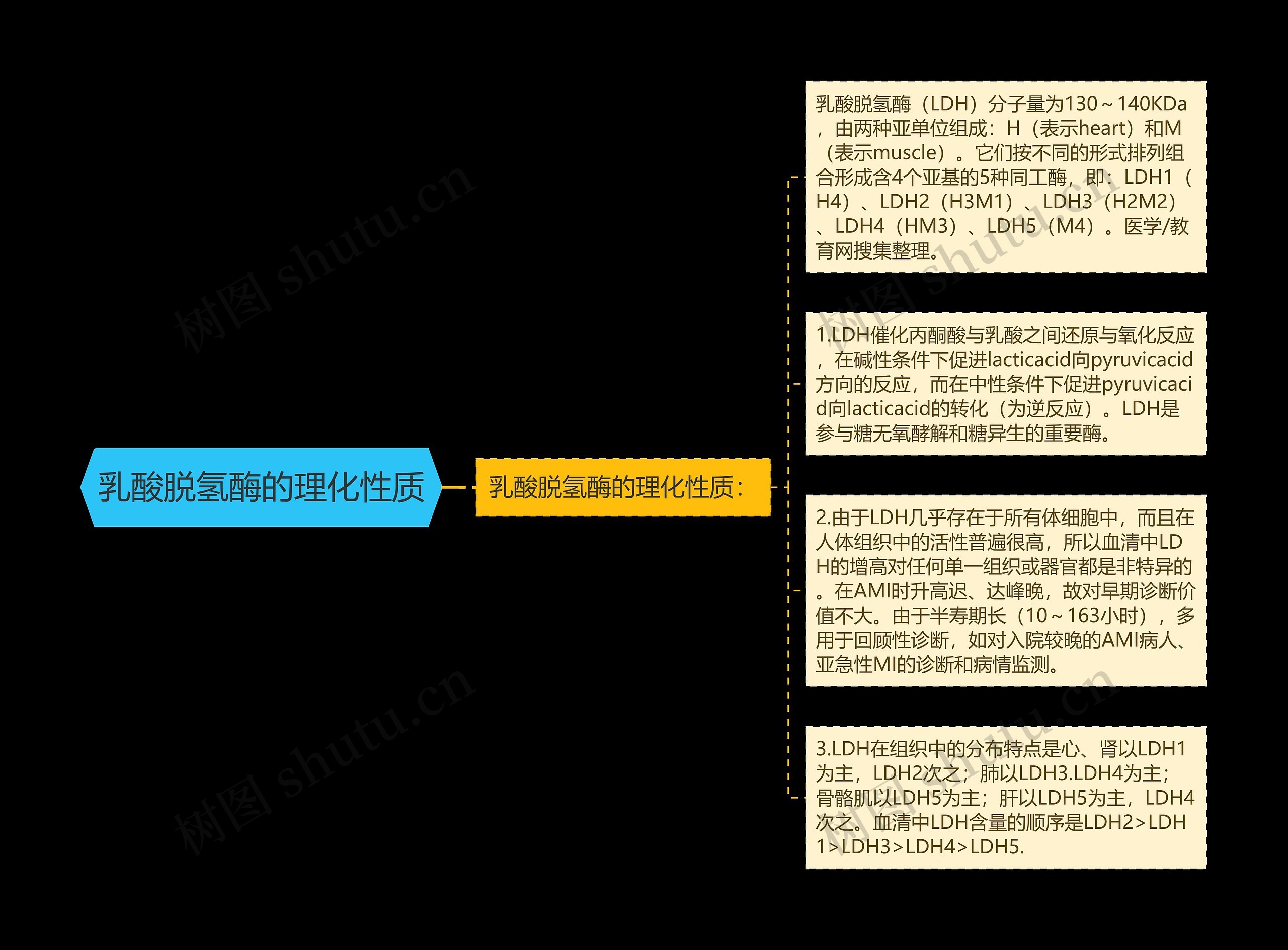 乳酸脱氢酶的理化性质 乳酸脱氢酶的理化性质