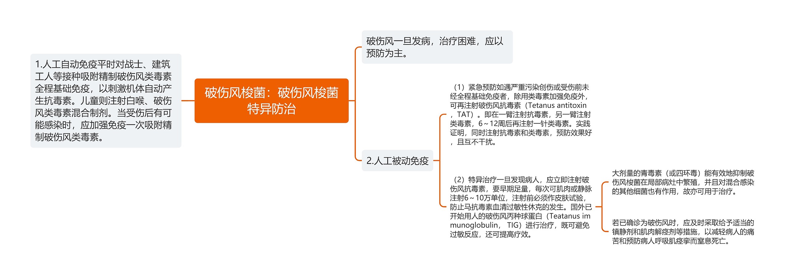 破伤风梭菌：破伤风梭菌特异防治思维导图