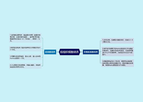 肌组织细胞培养