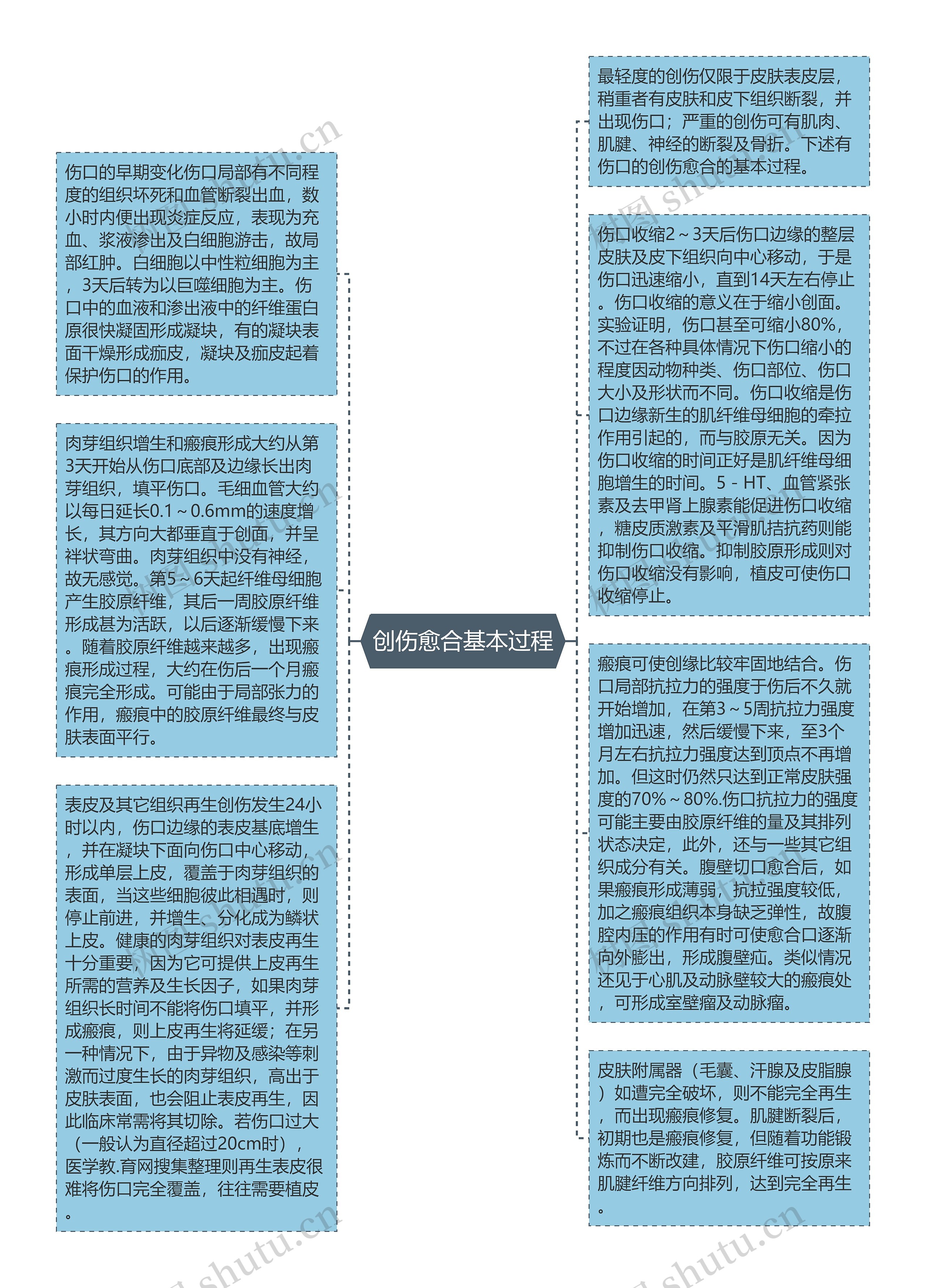 创伤愈合基本过程思维导图高清图 创伤愈合基本过程思维导图