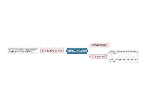 骨骼肌的收缩原理