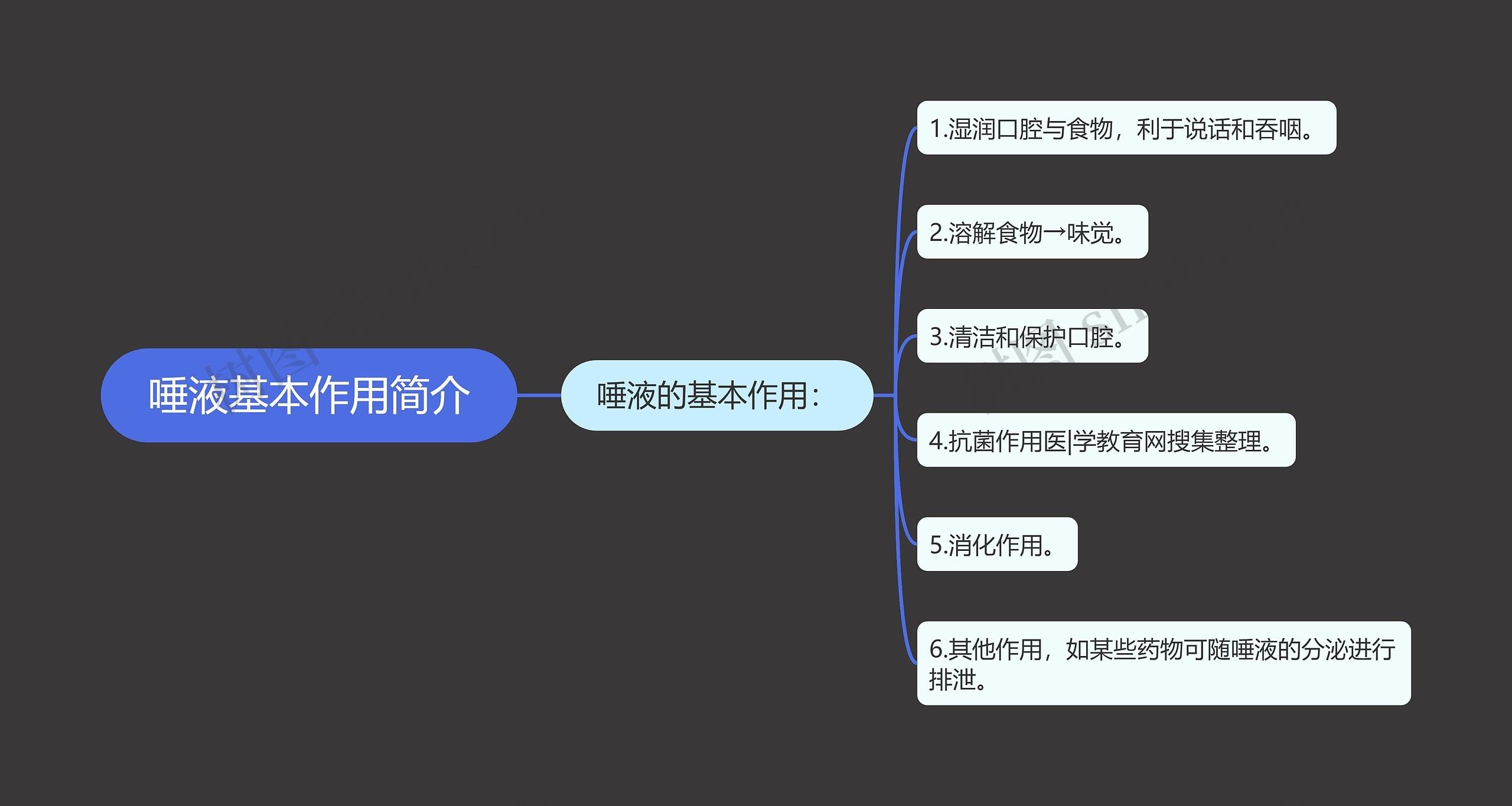 唾液基本作用简介思维导图