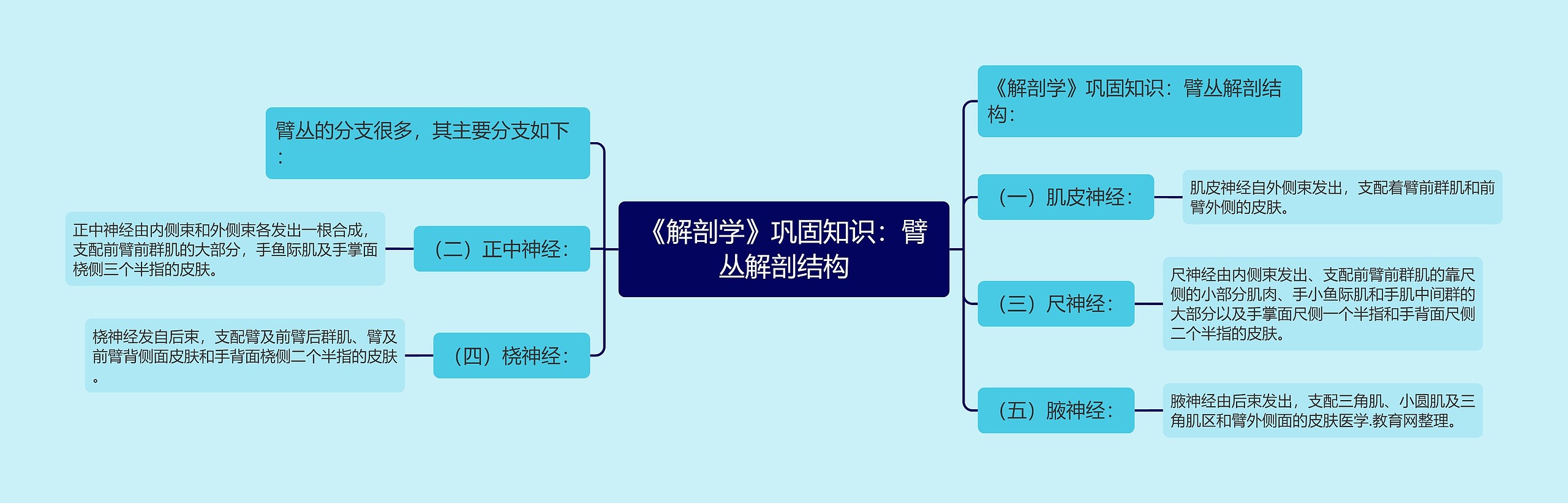 《解剖学》巩固知识：臂丛解剖结构思维导图