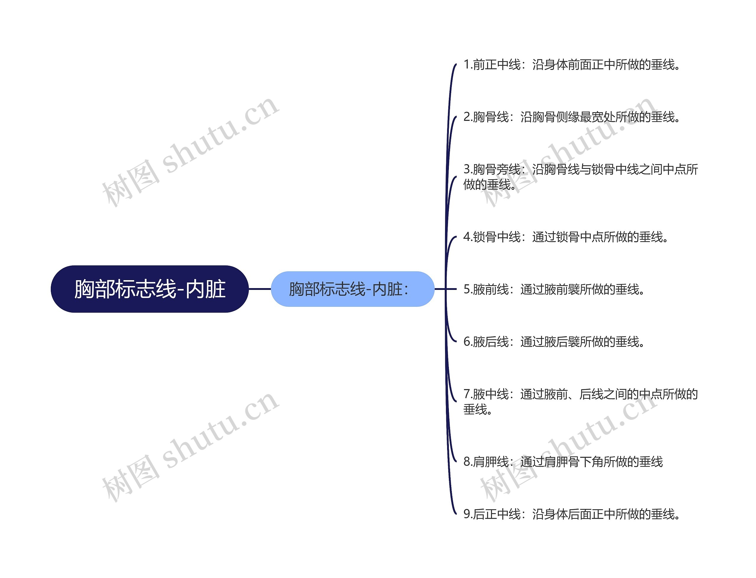 胸部标志线-内脏思维导图