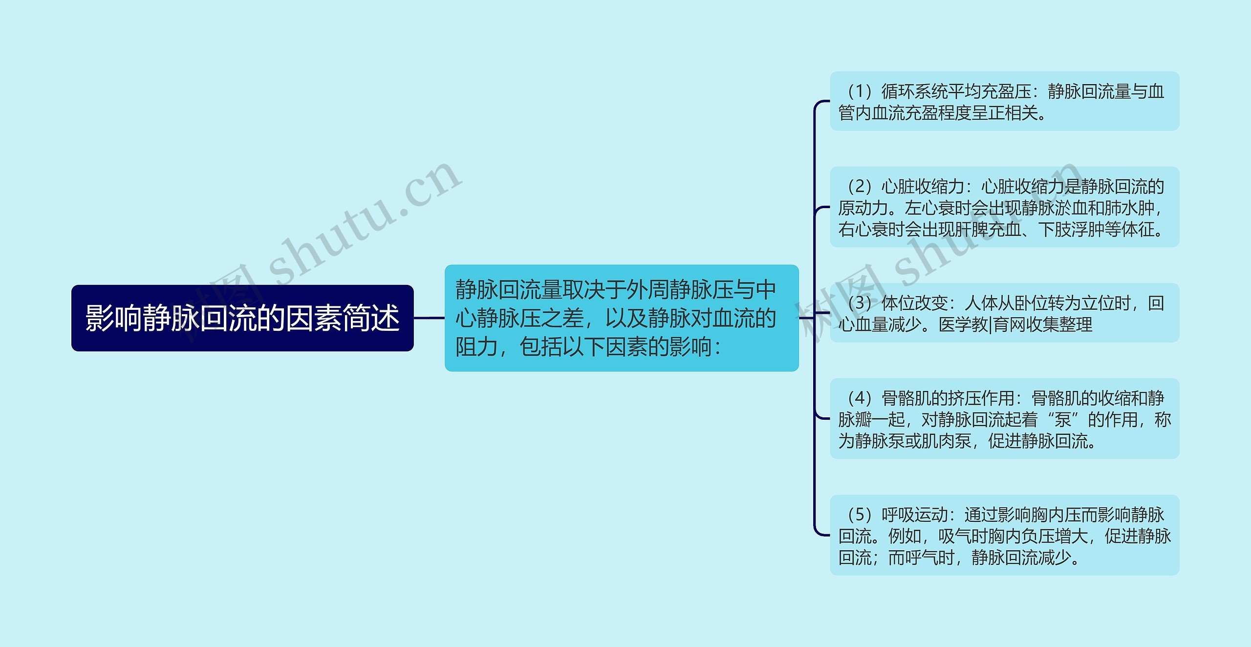 影响静脉回流的因素简述 影响静脉回流的因素简述