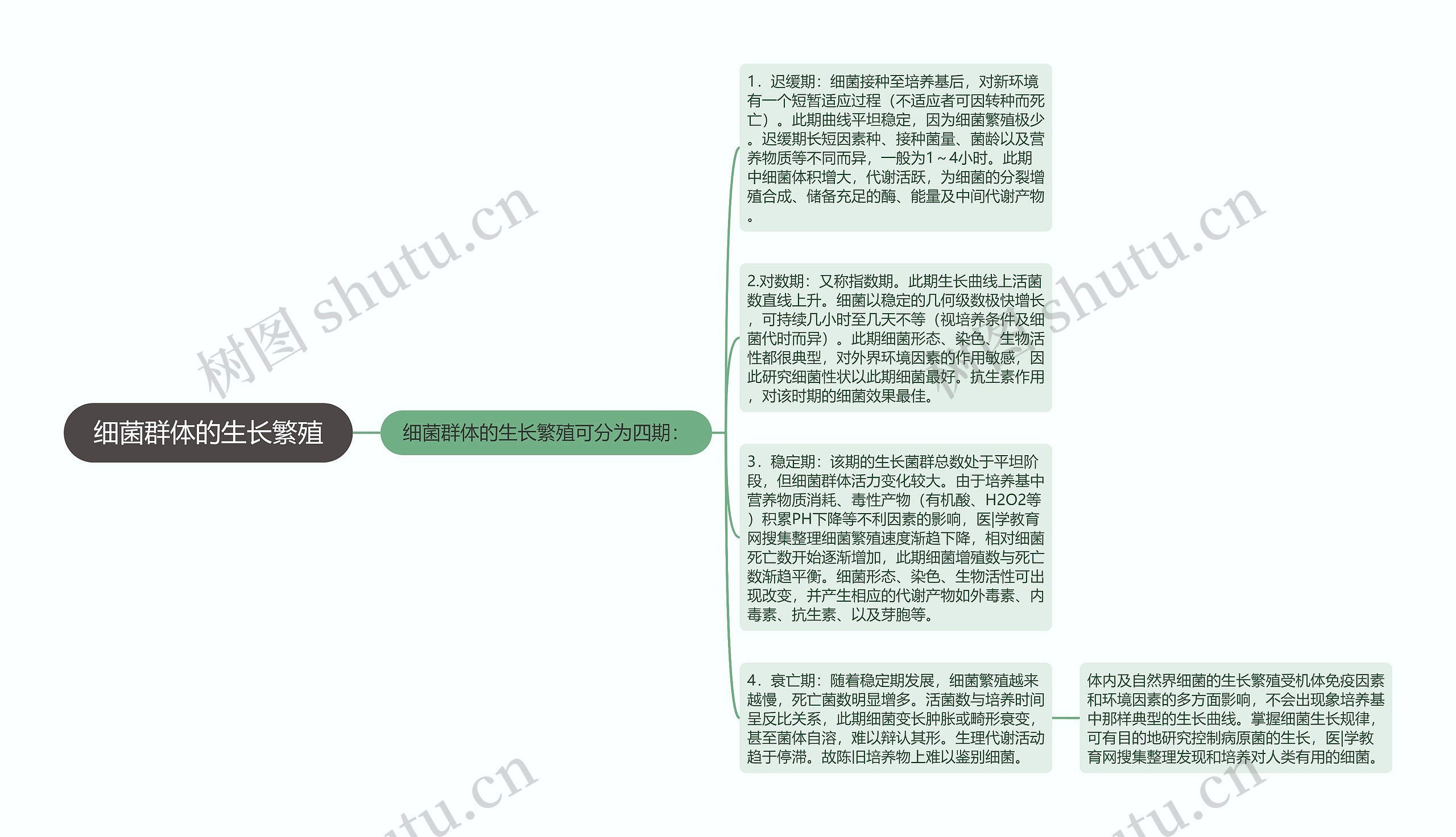 细菌群体的生长繁殖思维导图