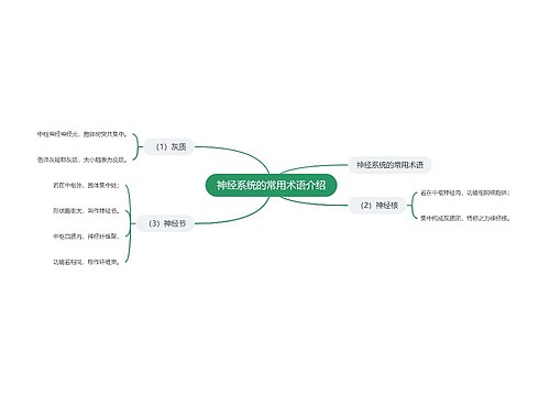 神经系统的常用术语介绍