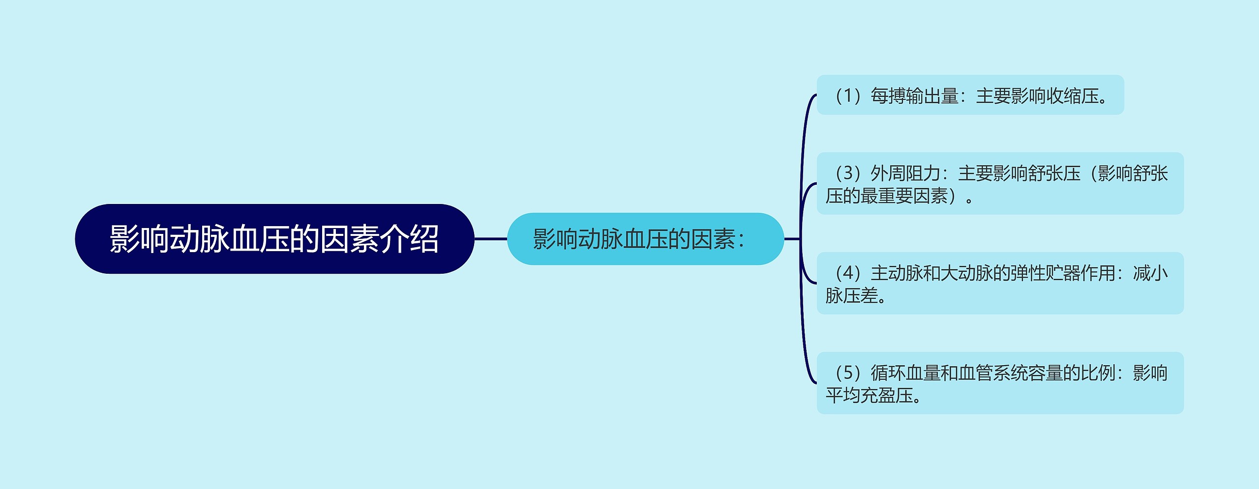 影响动脉血压的因素介绍思维导图