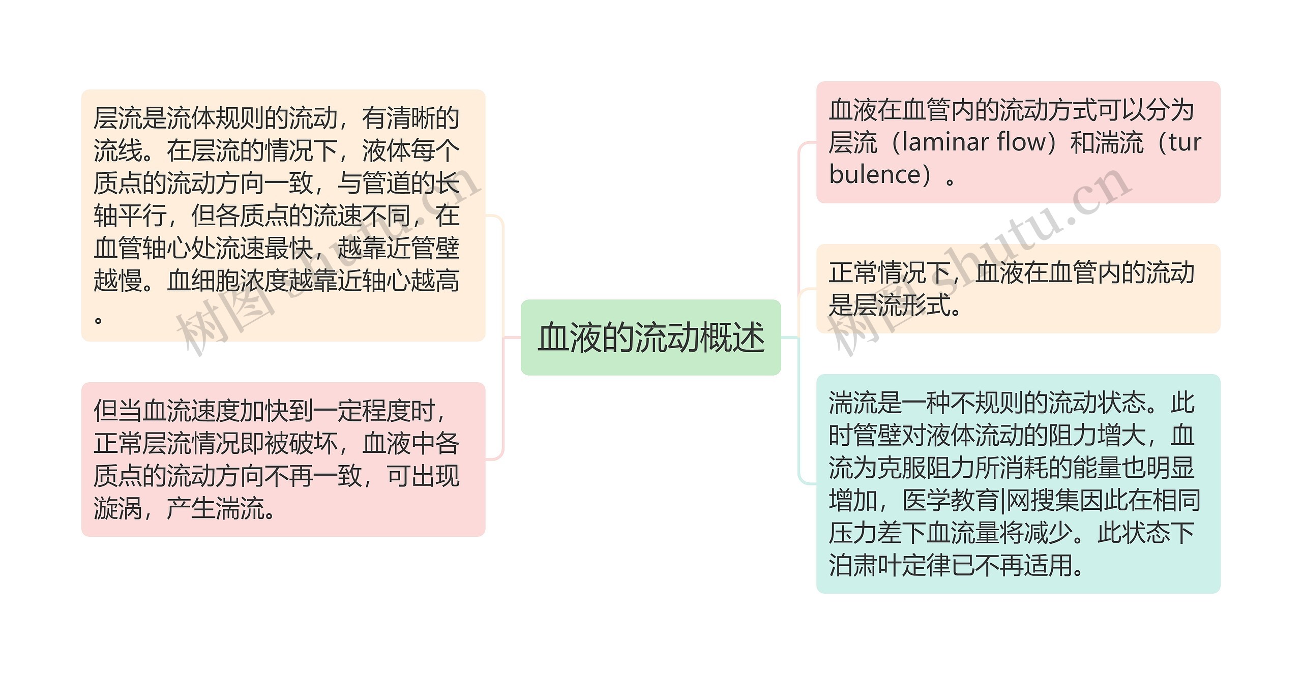 血液的流动概述