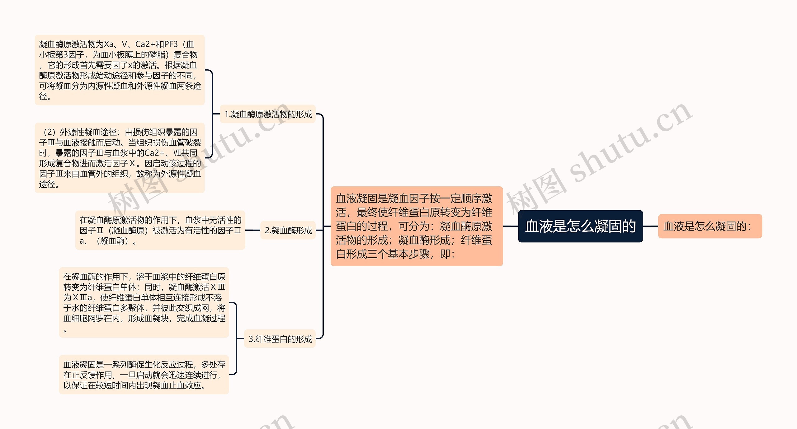 血液是怎么凝固的