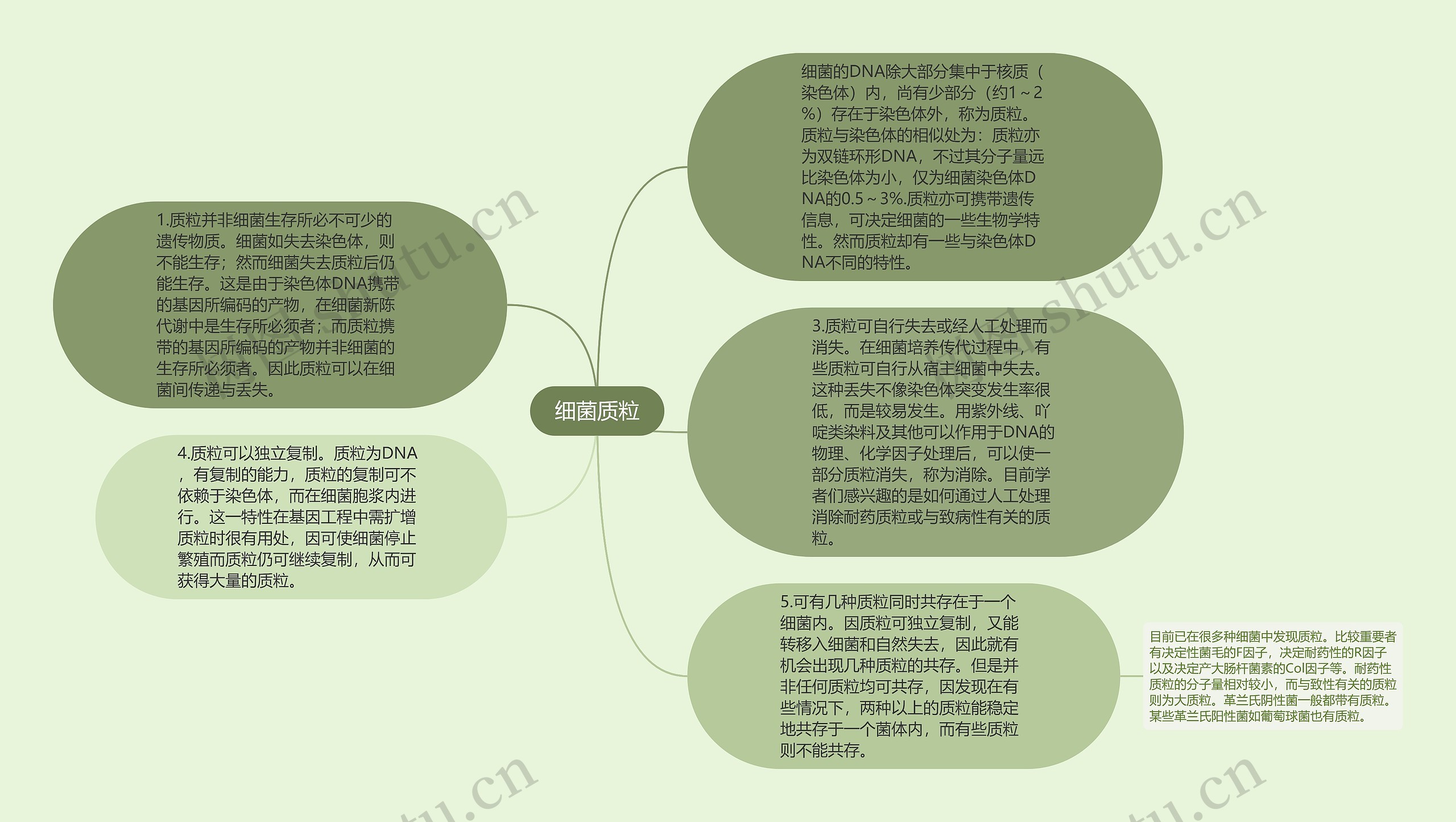 细菌质粒思维导图