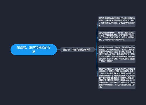 肺血管、淋巴和神经的介绍