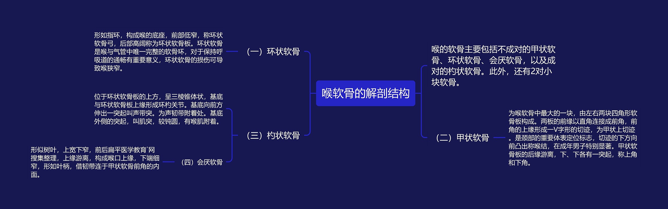 喉软骨的解剖结构思维导图