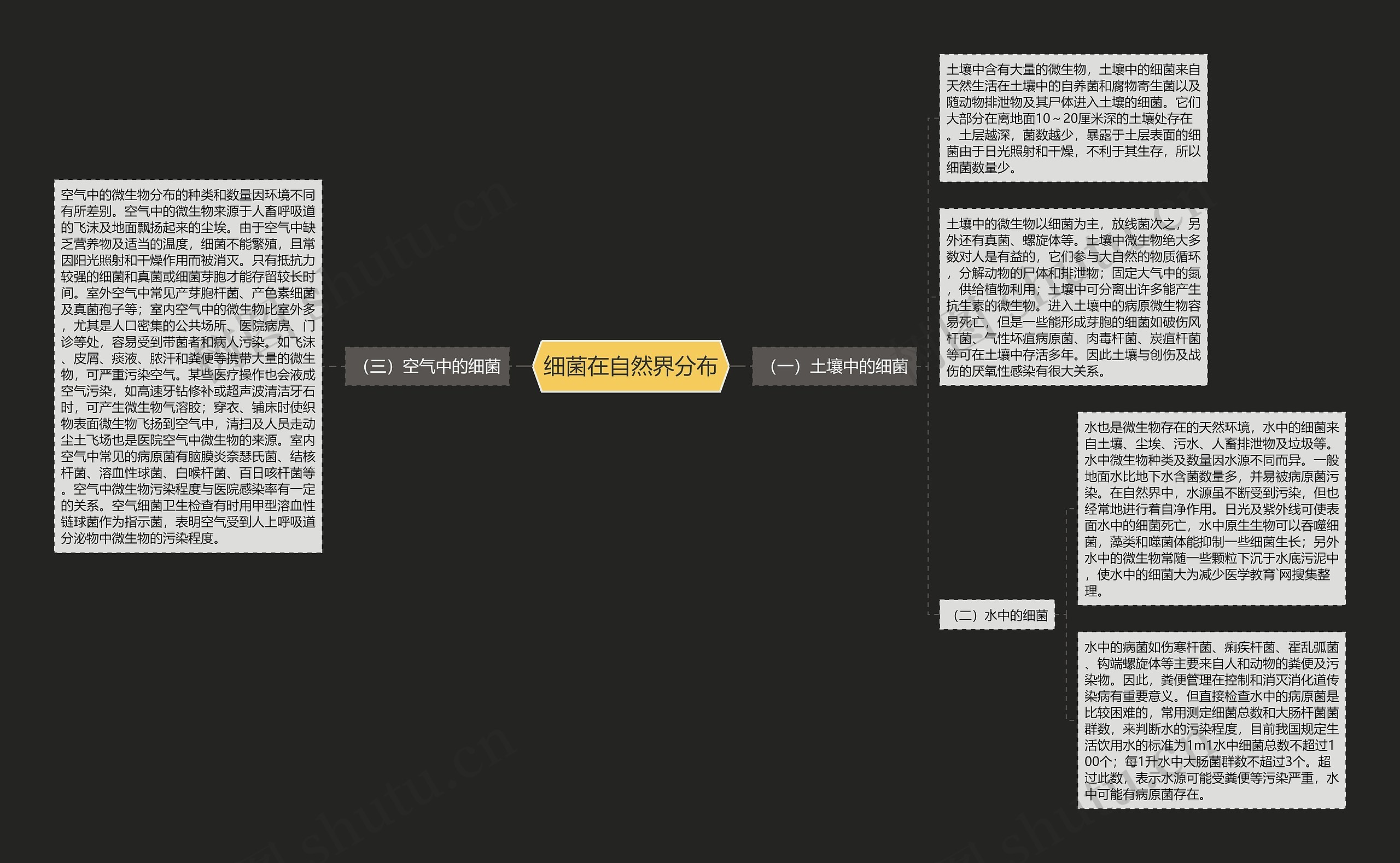 细菌在自然界分布思维导图