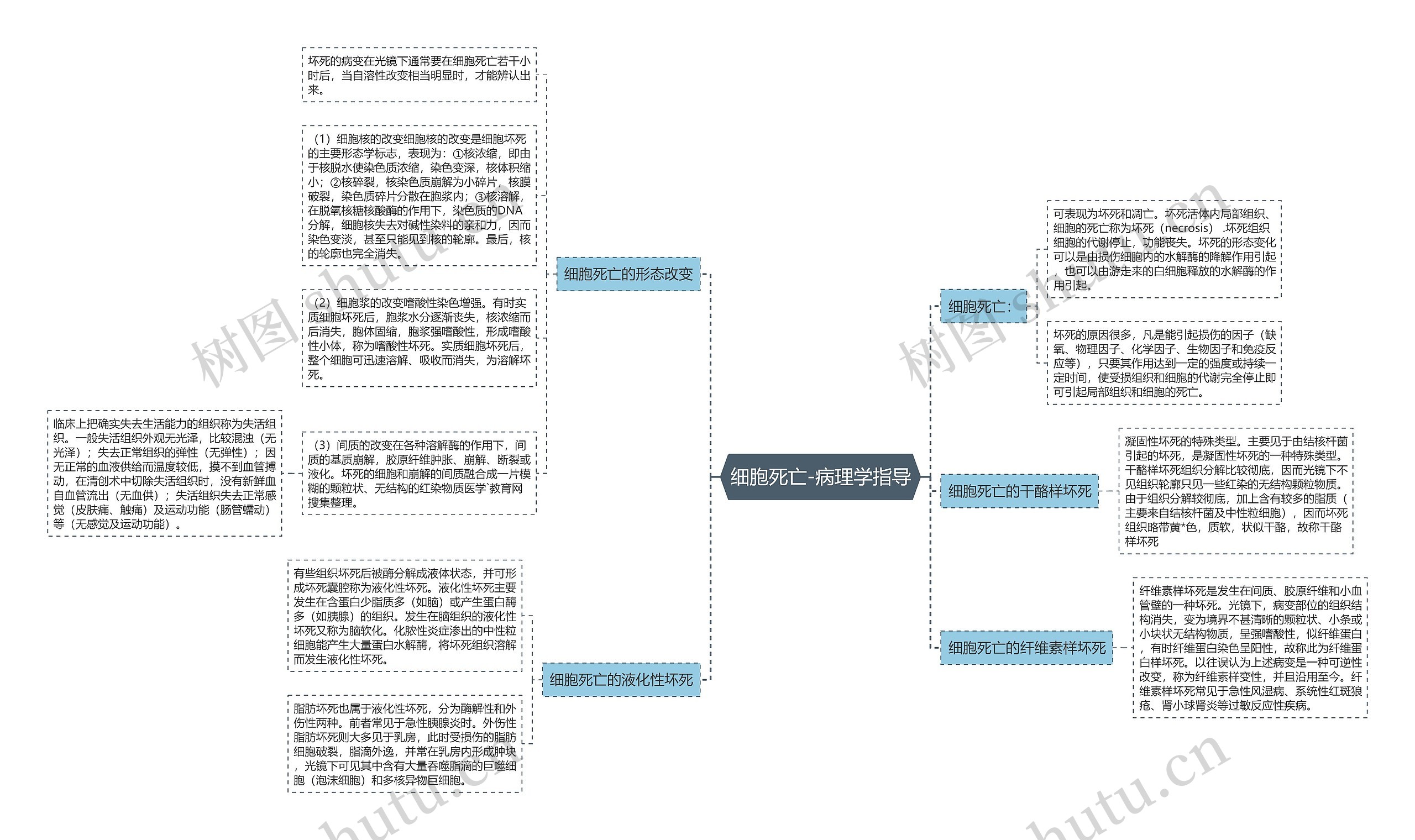 细胞死亡-病理学指导 细胞死亡-病理学指导
